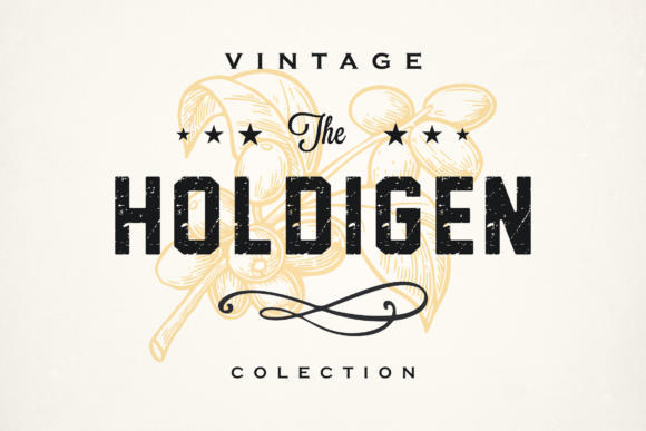 Holdigen: The Bold Display Typeface That Elevates Campaign Impact