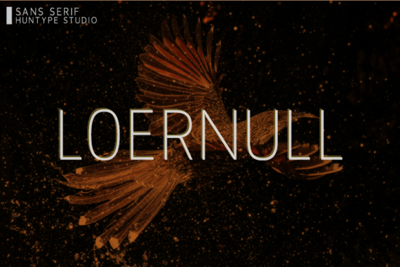 Loernull: The Sans Serif Font for Modern Business Branding