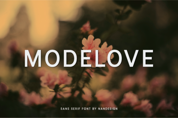 Modelove: The Sans Serif Typeface That Elevates Campaign Clarity