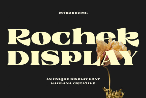 Rochek: A Bold Display Typeface for High-Impact Web Design